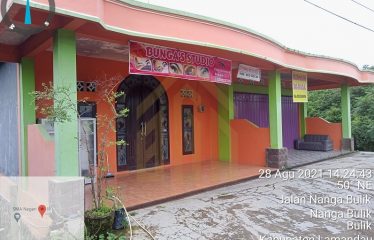 DIJUAL RUMAH DAN RUKO LAMANDAU*