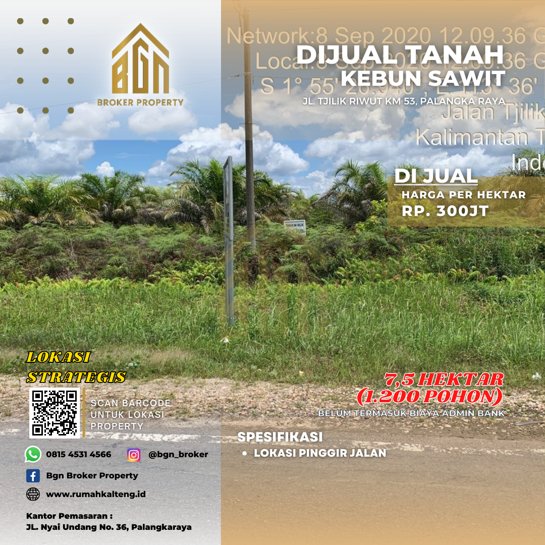 TANAH DIJUAL KEBUN SAWIT PALANGKA RAYA