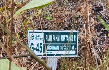 DIJUAL TANAH DI TALAWANG PALANGKA RAYA
