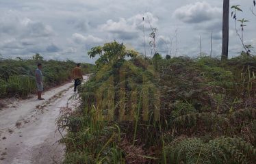 TANAH DIJUAL DI HUMBANG RAYA, KAB. KAPUAS