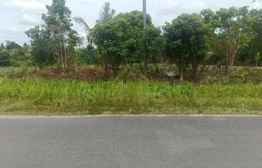 TANAH DIJUAL DI Jl. JENDERAL SUDIRMAN KASONGAN LAMA (Lokasi 1)