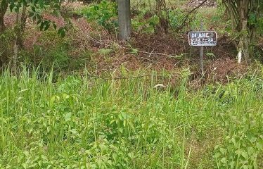 TANAH DIJUAL DI Jl. JENDERAL SUDIRMAN KASONGAN LAMA (Lokasi 1)