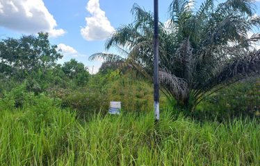 TANAH DIJUAL DI Jl. JENDERAL SUDIRMAN KASONGAN LAMA (Lokasi 2)