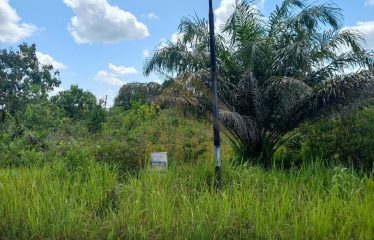 TANAH DIJUAL DI Jl. JENDERAL SUDIRMAN KASONGAN LAMA (Lokasi 2)